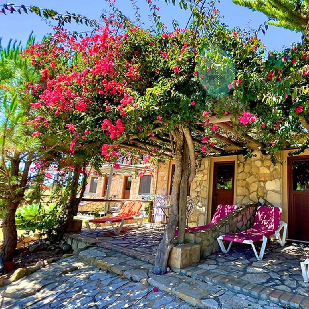 Read more about the article Praia da Luz Portugal