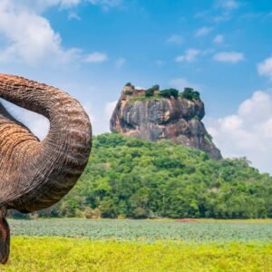 15-daagse familierondreis Sri Lanka