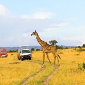 16 daagse safari The Mombasa Rendez Vous