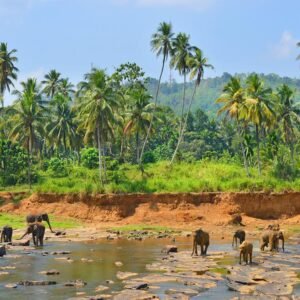 22-daagse rondreis Grand Tour Sri Lanka