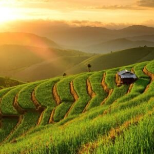 22-daagse rondreis Thailand Compleet