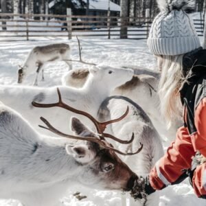 8 dg excursiereis Adventure on Ounasjärvi river
