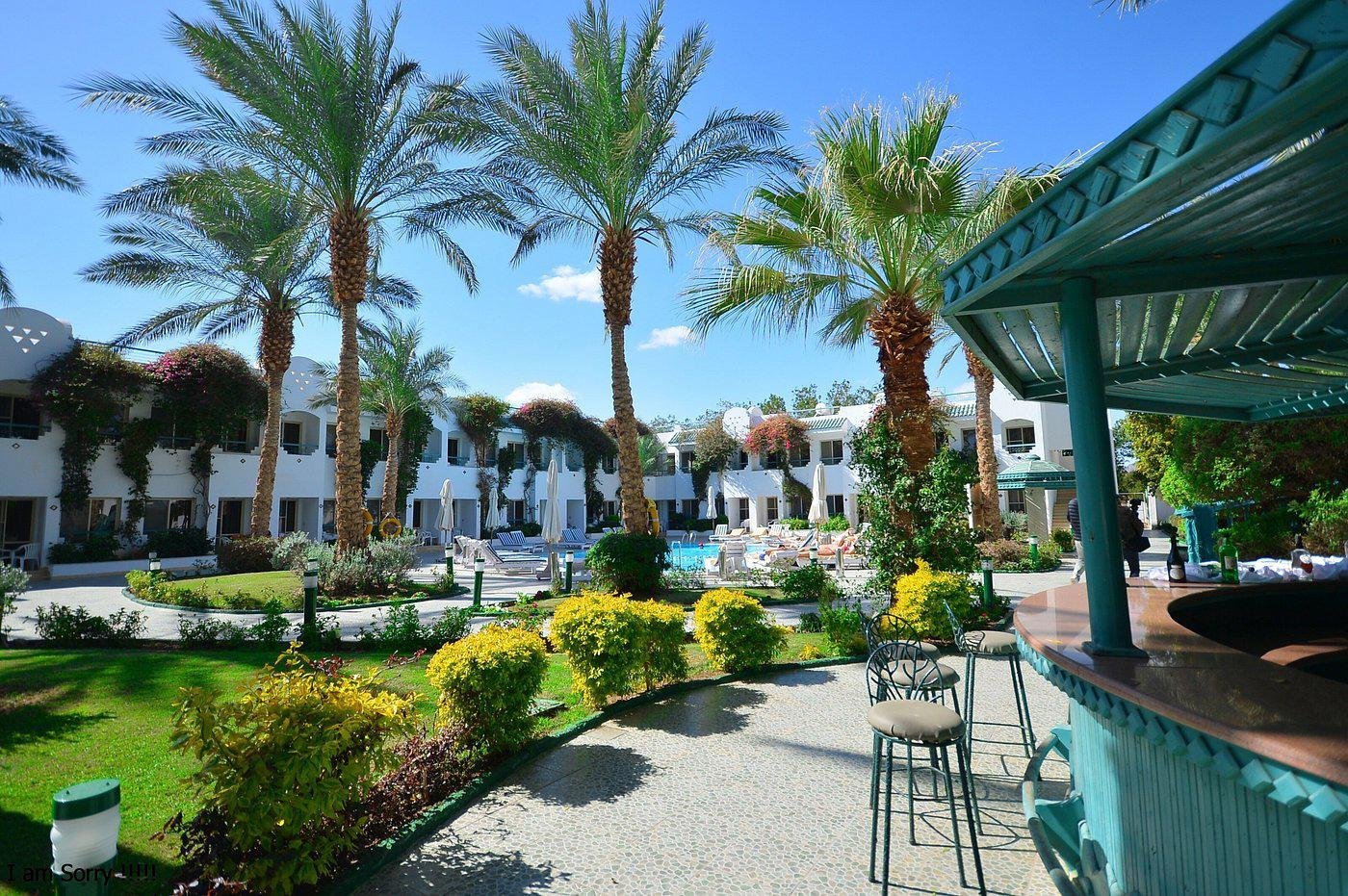 falcon hills Falcon Hills