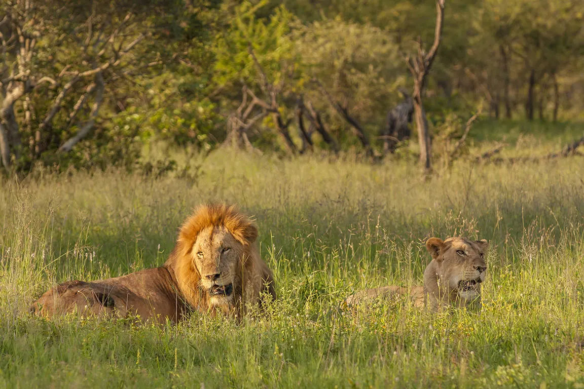 pragtig suid afrika Pragtig Suid-Afrika