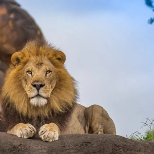 Suid-Afrika Compleet