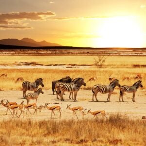 16-daagse rondreis Klassiek NamibiÃ«