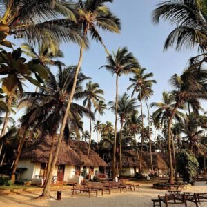 16 daagse safari Verrassend Tanzania & Zanzibar