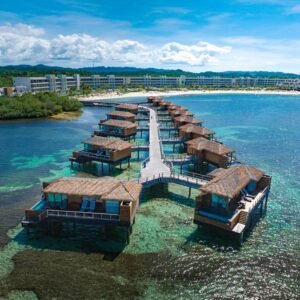 Princess Senses The Mangrove