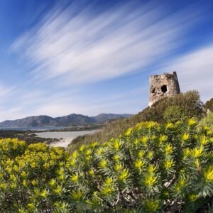 8 daagse fly drive Charme van Malta