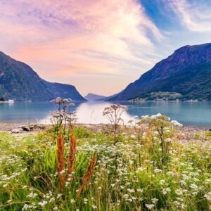 8 dg cruise Noord Europa Zuiderdam