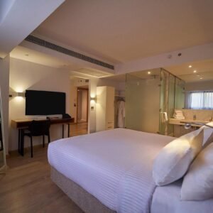 New President Zamalek