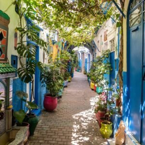 13 dg cruise Canarische Eil Celebrity Infinity