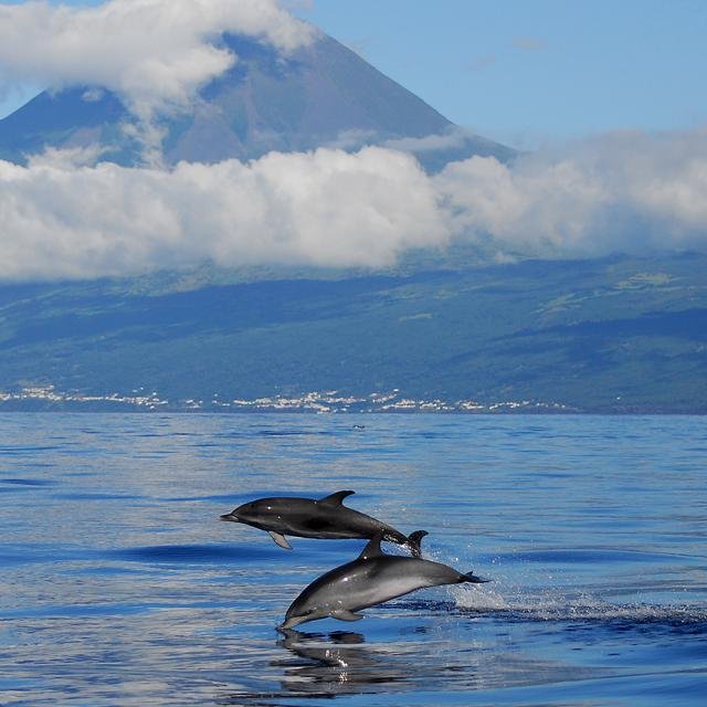 fly & drive azoren 3 eilanden inclusief huurauto Fly & Drive Azoren - 3 eilanden - inclusief huurauto