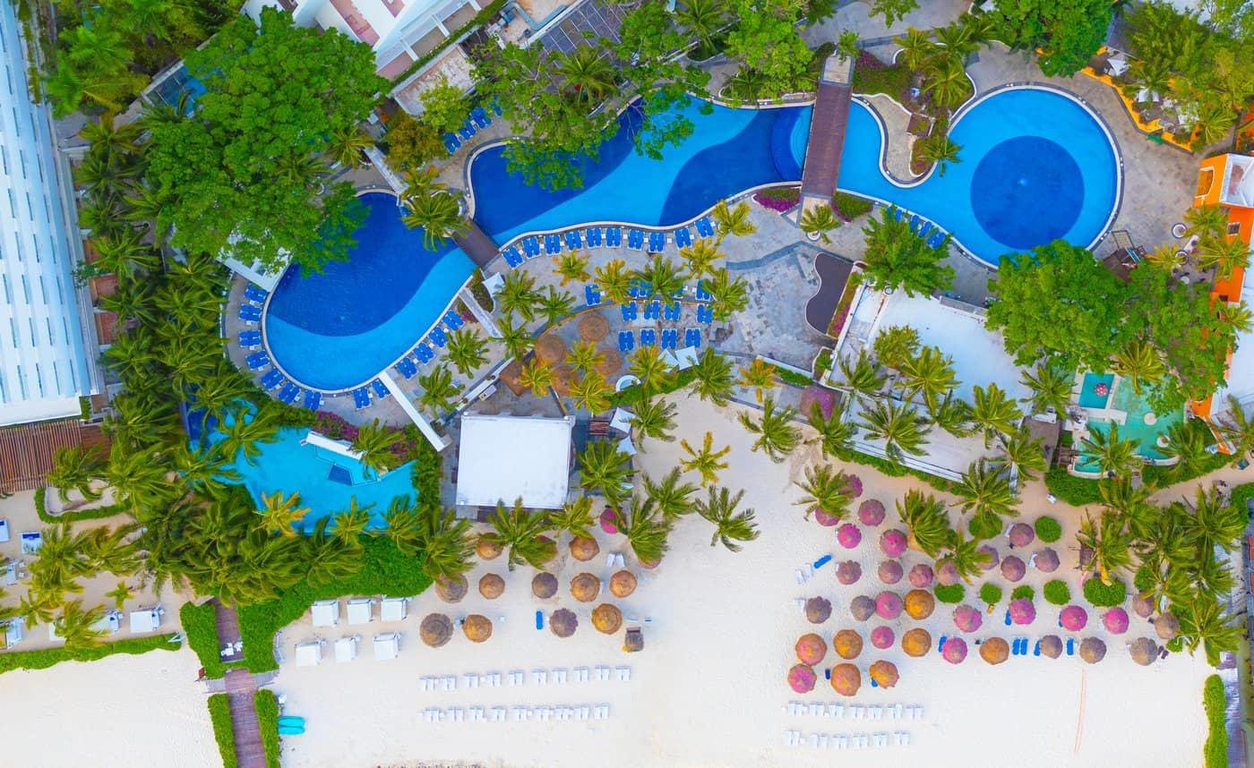 grand oasis palm Grand Oasis Palm