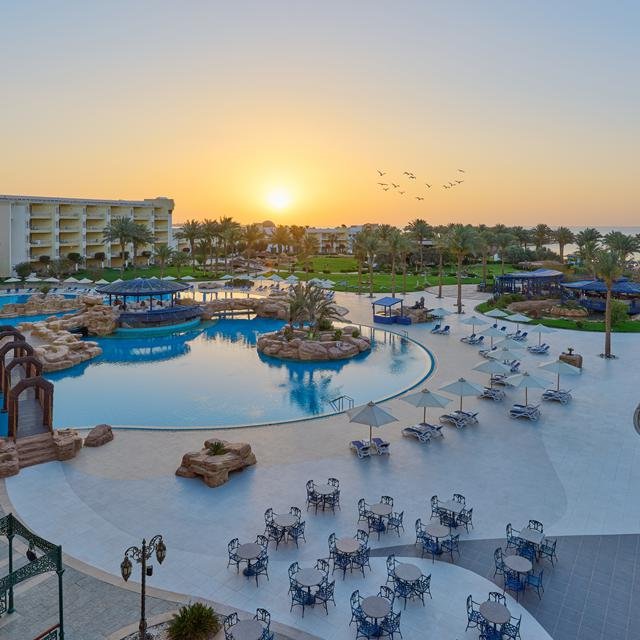 hotel palm royale soma bay resort Hotel Palm Royale Soma Bay Resort