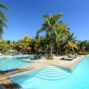 The Ravenala Attitude