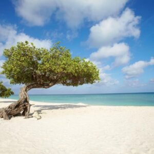 11 dg cruise Caribische Zee Norwegian Jewel