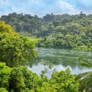 16 daagse fly drive Suriname Compleet
