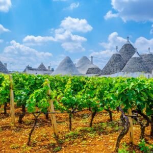 8-daagse rondreis Authentiek Puglia