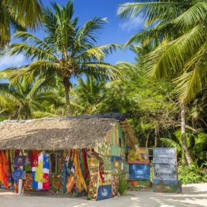 Cruise Oost Caribische Zee MSC World America