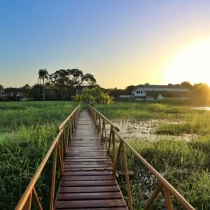 10 daagse reis a taste of Suriname