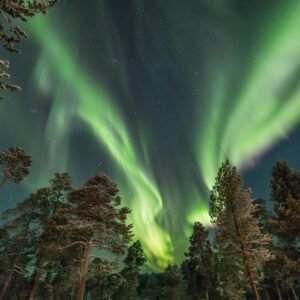 4 daagse excursiereis Muotka Wilderness Week