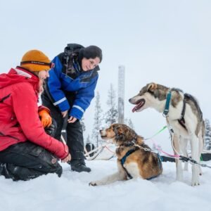 5 daagse excursiereis Muotka Wilderness Week
