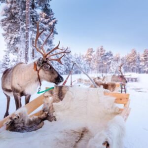 8 daagse excursiereis Winter Week Saariselka