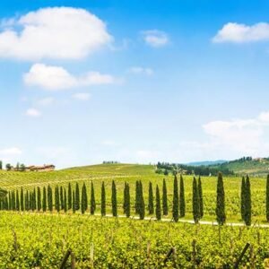 8-daagse rondreis Parels van Toscane