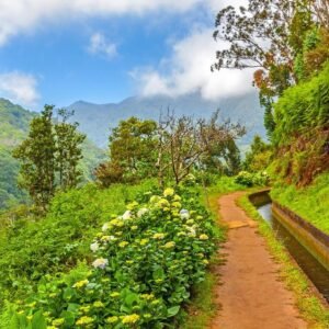 8 daagse singlereis Veelzijdig Madeira