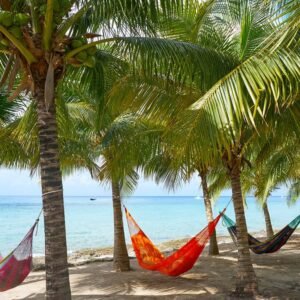 Cruise West Caribische Zee MSC World America