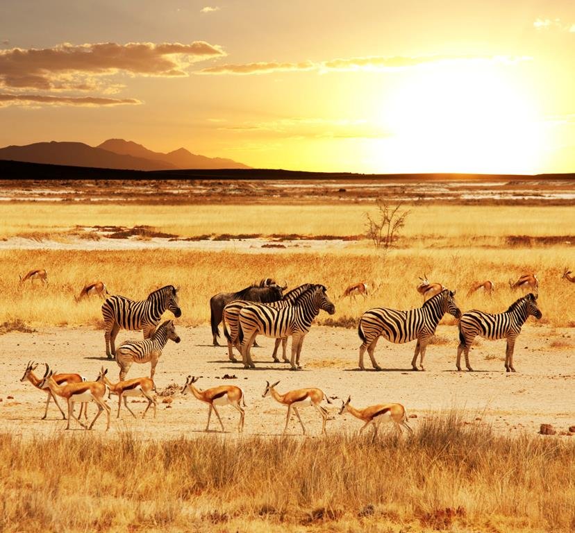 16 daagse rondreis klassiek namibië 16-daagse rondreis Klassiek Namibië