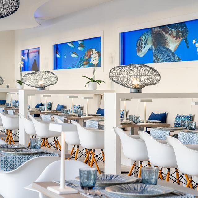 hovima cool costa adeje adults only Hovima Cool Costa Adeje - adults only