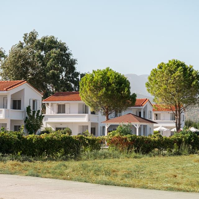 naftilos rosmarinus Naftilos Rosmarinus