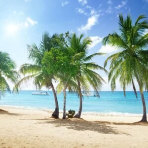 8 dg cruise Caribische Zee MSC Opera